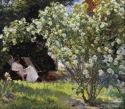 Peder Severin Kroyer Roses Garden in Skagen (nn02) oil painting picture wholesale